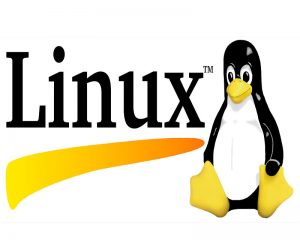 معرفی بهترین نسخه های لینوکس - خرید هاست لینوکس- شرکت هاستینگ 