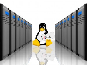 سرور مجازی لینوکس-linux server