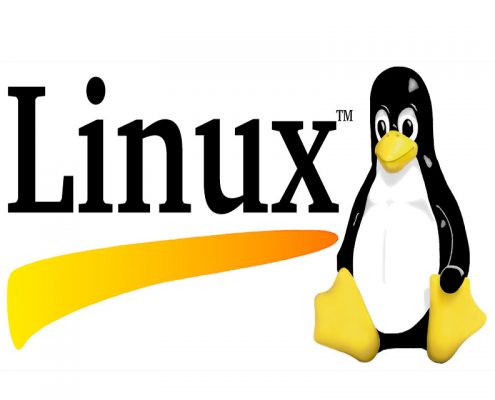 معرفی بهترین نسخه های لینوکس - خرید هاست لینوکس- شرکت هاستینگ