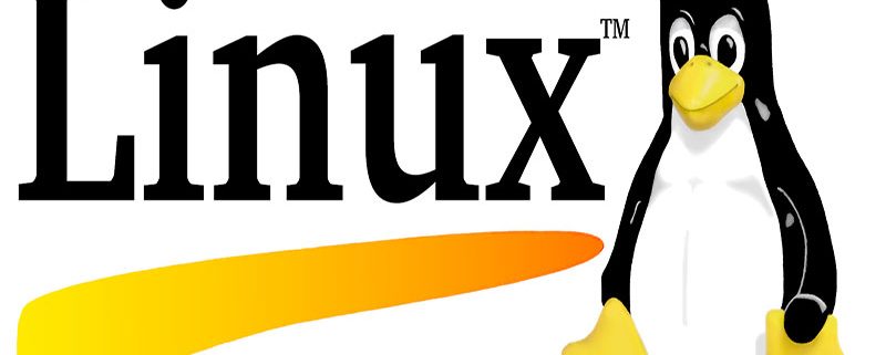 معرفی بهترین نسخه های لینوکس - خرید هاست لینوکس- شرکت هاستینگ